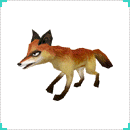 รูป Fox