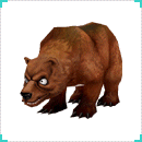 รูป Bear
